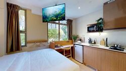 Mount Elizabeth Link (D9), Apartment #483385691